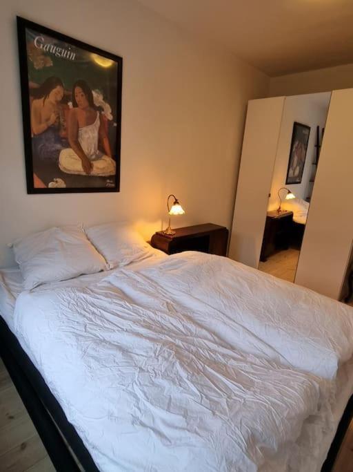 Paen Central Lejlighed Med Gratis Parkering Randers Exterior foto