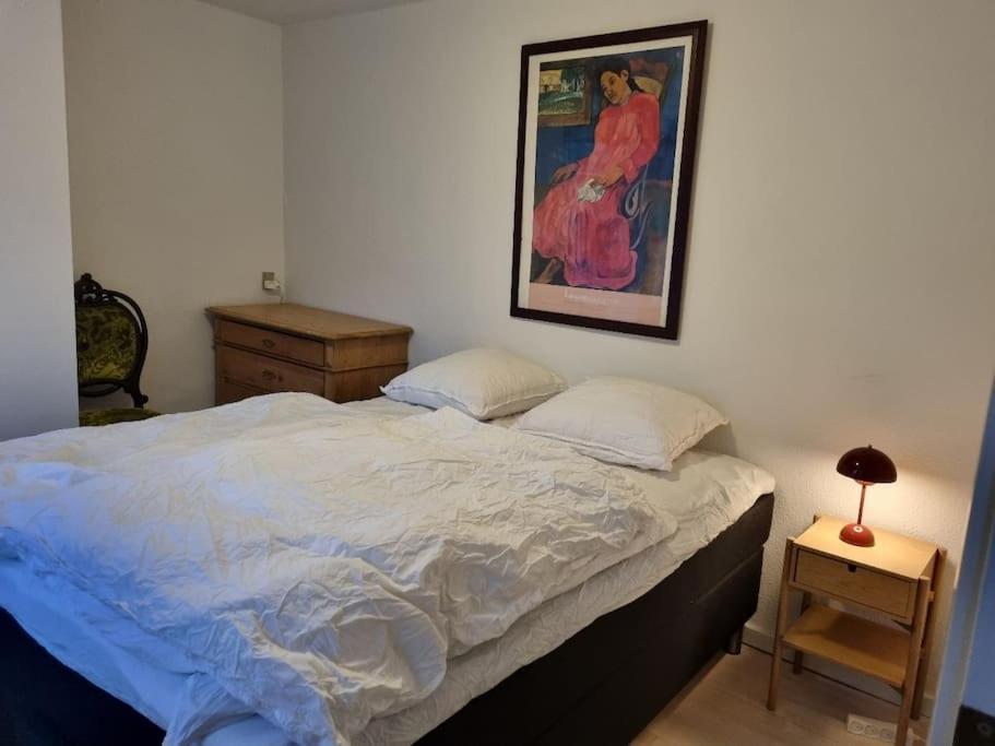 Paen Central Lejlighed Med Gratis Parkering Randers Exterior foto